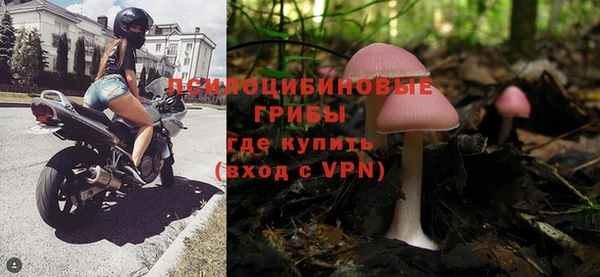 ПСИЛОЦИБИНОВЫЕ ГРИБЫ Лиски