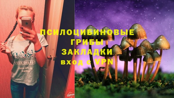 ПСИЛОЦИБИНОВЫЕ ГРИБЫ Лиски