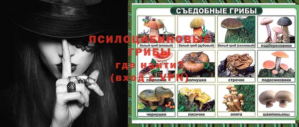 ПСИЛОЦИБИНОВЫЕ ГРИБЫ Лиски