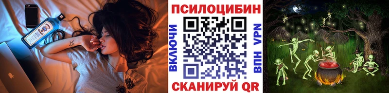 Псилоцибиновые грибы прущие грибы  кракен онион  Гвардейск 
