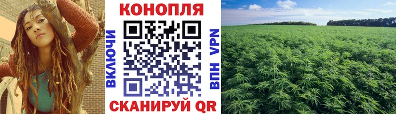Марихуана Amnesia  где купить   Гвардейск 